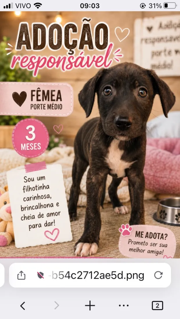 Cachorro raça Pit-Bull idade 2 a 6 meses nome Filhotes