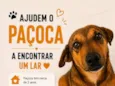 Paçoca