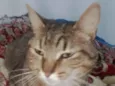 Lili