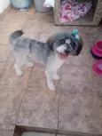 Meg