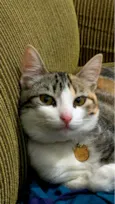 Nina