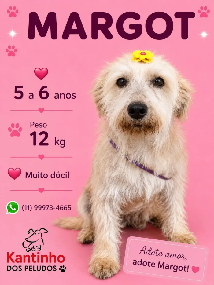 Cachorro raça SRD-ViraLata idade 5 anos nome Margot