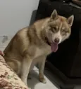 Leoncio 