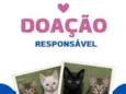 sem nome ainda 