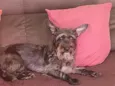 Mônica 
