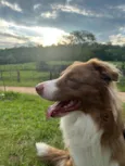 Marley