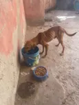 Jhonatan 