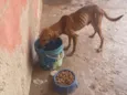 Jhonatan
