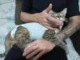 luna e Mia