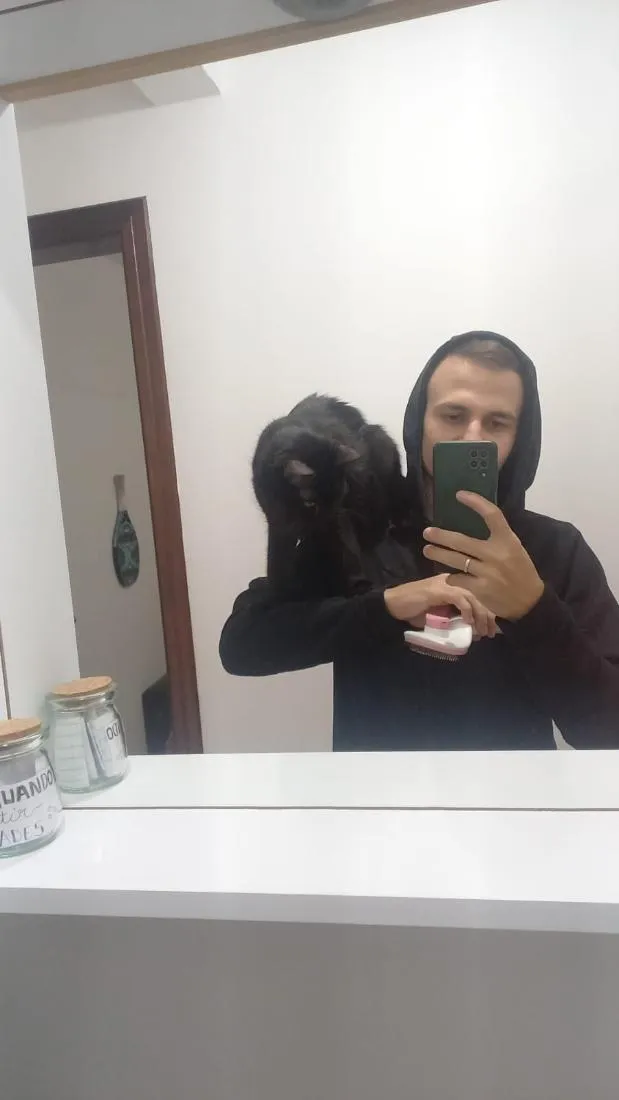 Gato raça SRD-ViraLata idade 1 ano nome luna e Mia