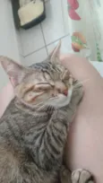 luna e Mia
