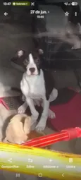 spike