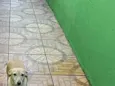 julie