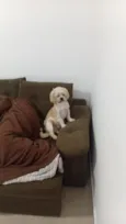 Frederico