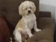 Frederico