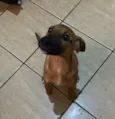 zoe