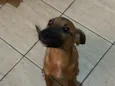 zoe