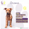 Oceane
