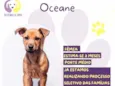 Oceane