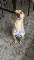 KIRA
