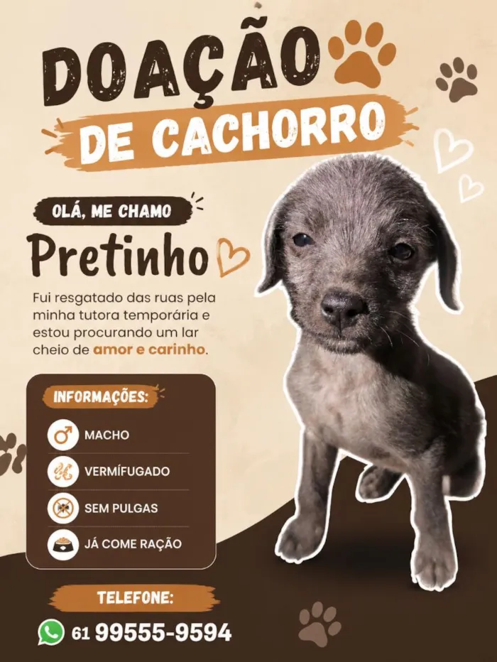 Cachorro raça SRD-ViraLata idade Abaixo de 2 meses nome Pretinho