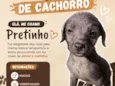Pretinho