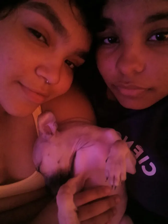 Cachorro raça SRD-ViraLata idade 2 a 6 meses nome paçoca 