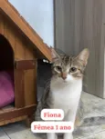 Fiona