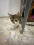 Fiona
