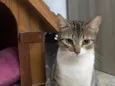 Fiona