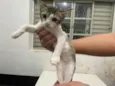 Zip