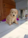 Kiara