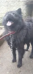 Max