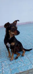 Nina