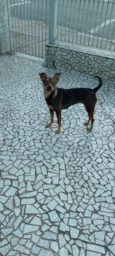 Nina