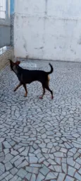 Nina
