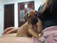 Ainda sem nome 