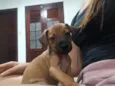 Ainda sem nome 