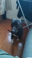 Atena