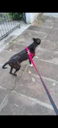 Atena