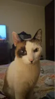 Luka