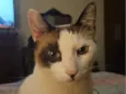 Luka