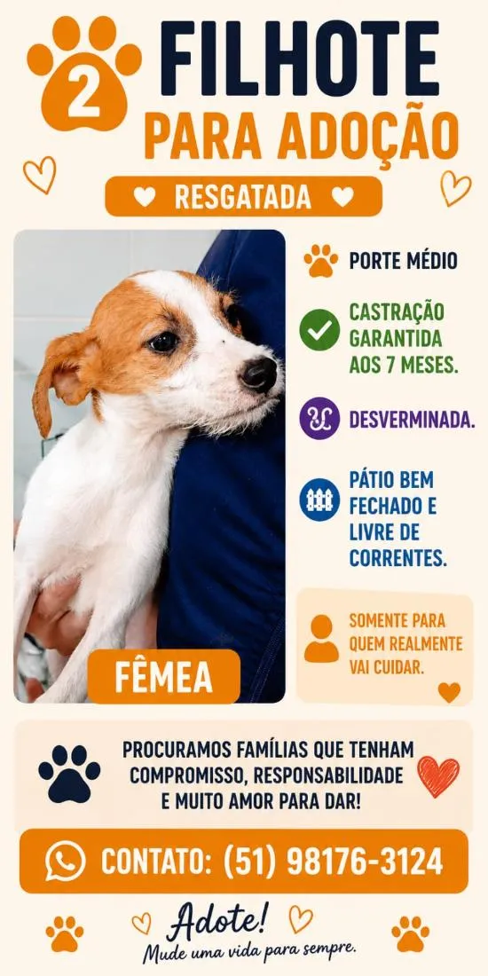 Cachorro raça SRD-ViraLata idade 7 a 11 meses nome Tiana
