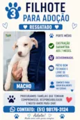 Altivo