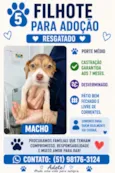Jucimar