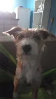 Alyrio