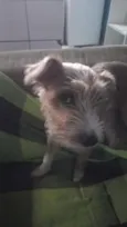 Alyrio