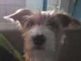 Alyrio