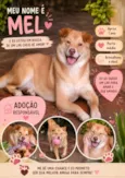 Mel