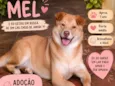 Mel